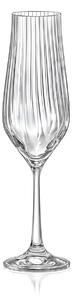 Bohemia Crystal Poháre na šampanské Tulipa Optic 170ml (set po 6ks)