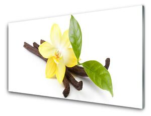 Sklenený obklad Do kuchyne Vanilka listy rastlina 125x50 cm