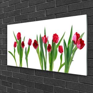 Skleneny obraz Tulipány kvety rastlina 120x60 cm 4 Prívesky
