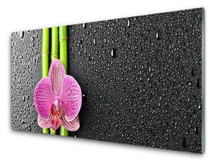 Sklenený obklad Do kuchyne Bambus kvet rastlina príroda 100x50 cm