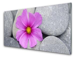 Sklenený obklad Do kuchyne Kvet kamene rastlina 100x50 cm