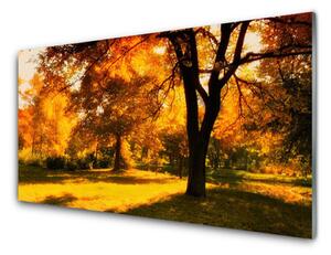 Sklenený obklad Do kuchyne Stromy jeseň príroda 120x60 cm