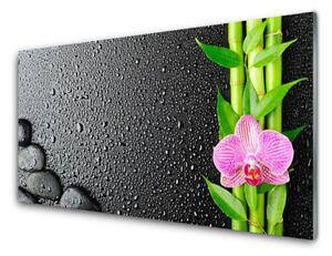 Sklenený obklad Do kuchyne Bambus stonka kvet rastlina 100x50 cm