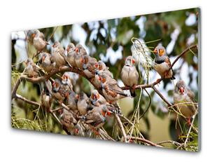 Nástenný panel  Vtáky zvieratá 100x50 cm