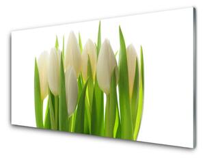 Obraz na skle Tulipány rastlina príroda 140x70 cm 2 Prívesky