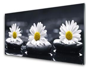 Nástenný panel  Sedmokráska kamene rastlina 100x50 cm