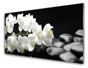Nástenný panel  Kvet kamene rastlina 100x50 cm