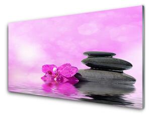 Obraz na akrylátovom skle Kvet kamene umenie 140x70 cm 4 Prívesky