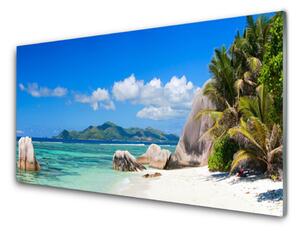 Obraz na skle Oceán pláž príroda 125x50 cm