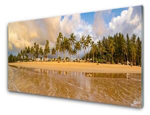 Nástenný panel  Pláž príroda 100x50 cm