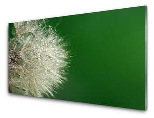 Nástenný panel  Púpava rastlina 125x50 cm