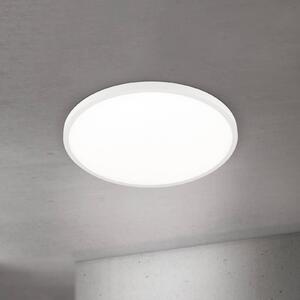Stropné LED svetlo Disc, biele Ø 60 cm, kov/plast, Biela / opálová, Obývacia izba / jedáleň, Hliník, Moderný, Závesné svietidlo