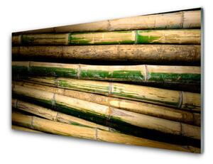 Nástenný panel  Bambus rastlina príroda 125x50 cm