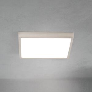 Stropné LED svetlo Disc, saténovo niklové, dĺžka 24 cm, Hliník / sivá / zinok, Obývacia izba / jedáleň, Hliník, Moderný, Stropné svetlo