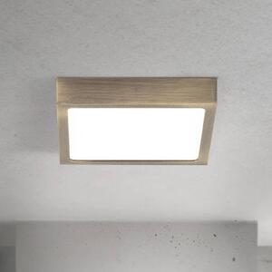 Stropné LED svetlo Disc, antická mosadzová farba, dĺžka 14 cm,, Hnedá / staromosadz, Obývacia izba / jedáleň, Hliník, Moderný, Stropné svetlo