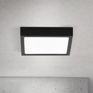 Stropné LED svetlo Disc, čierne, dĺžka 14 cm, kov, Čierna, Obývacia izba / jedáleň, Hliník, Moderný, Stropné svetlo