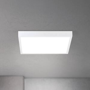 Stropné LED svetlo Disc, biele, dĺžka 40 cm, kov/plast, Biela / opálová, Obývacia izba / jedáleň, Hliník, Moderný, Stropné svetlo