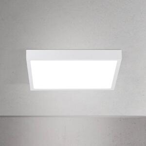 Stropné LED svetlo Disc, biele, dĺžka 24 cm, kov, Biela / opálová, Obývacia izba / jedáleň, Hliník, Moderný, Stropné svetlo