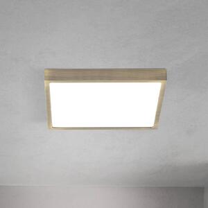 Stropné LED svetlo Disc, antická mosadzová farba, dĺžka 24 cm,, Hnedá / staromosadz, Obývacia izba / jedáleň, Hliník, Moderný, Stropné svetlo