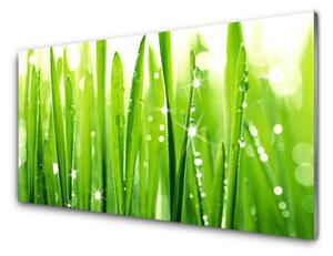 Nástenný panel  Tráva rastlina príroda 125x50 cm