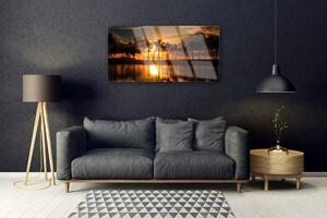 Obraz na skle Stromy slnko krajina 125x50 cm