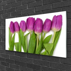 Obraz na skle Tulipány kvety rastlina 100x50 cm
