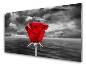 Obraz na skle Ruže kvet rastlina 125x50cm