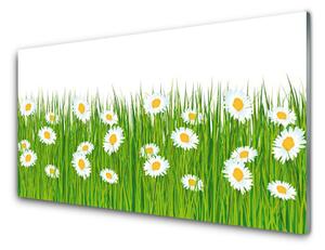 Nástenný panel  Tráva sedmokrásky príroda 125x50 cm
