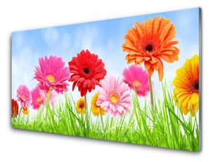 Nástenný panel  Kvety tráva rastlina 100x50 cm