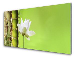 Sklenený obklad Do kuchyne Bambus stonka rastlina príroda 125x50 cm