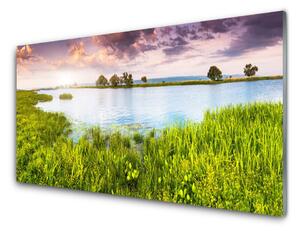 Skleneny obraz Tráva jazero príroda 125x50 cm