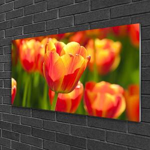 Skleneny obraz Tulipány kvety rastlina 120x60 cm 2 Prívesky