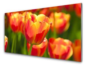 Skleneny obraz Tulipány kvety rastlina 120x60 cm 2 Prívesky