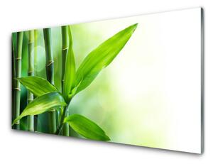 Sklenený obklad Do kuchyne Bambus list rastlina príroda 100x50 cm