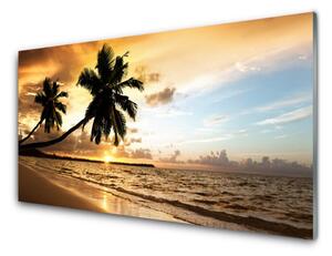 Skleneny obraz Palma stromy pláž krajina 140x70 cm 4 Prívesky