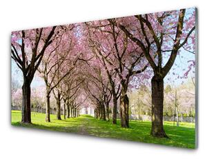 Skleneny obraz Chodník stromy príroda 125x50 cm