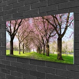 Skleneny obraz Chodník stromy príroda 125x50 cm