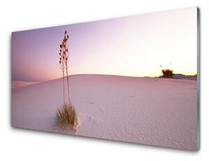 Sklenený obklad Do kuchyne Púšť písek krajina 100x50 cm