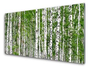Nástenný panel  Breza les stromy príroda 120x60 cm