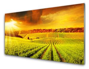 Obraz na akrylátovom skle Pole západ slnka krajina 120x60 cm 4 Prívesky