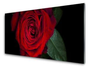 Nástenný panel  Ruže 120x60 cm
