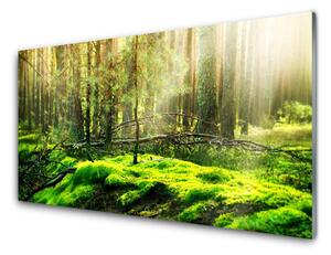 Nástenný panel  Mech les príroda 120x60 cm