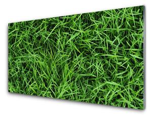 Obraz na skle Tráva trávnik 140x70 cm 4 Prívesky