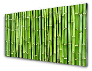 Obraz na skle Bambus kvet rastlina 140x70 cm 4 Prívesky