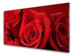 Obraz na skle Ruže kvety 100x50 cm