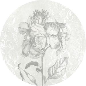 FOTOTAPETA velikost: 125 cm Komar - Online Only bytové doplnky, Online Only