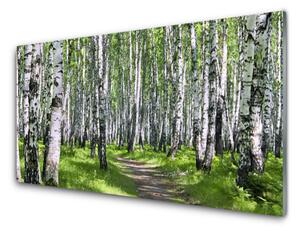 Obraz na skle Les chodník príroda 120x60 cm 4 Prívesky