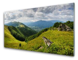 Nástenný panel  Hora lúka krajina 125x50 cm