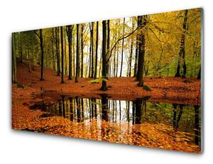 Obraz na akrylátovom skle Les príroda 120x60 cm 2 Prívesky