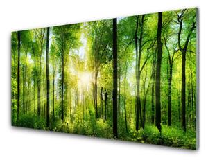 Obraz na akrylátovom skle Les príroda 120x60 cm 4 Prívesky